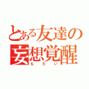 とある友達の妄想覚醒（もたい）