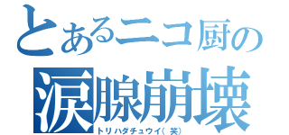 とあるニコ厨の涙腺崩壊（トリハダチュウイ（笑））