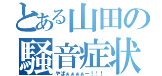 とある山田の騒音症状（やばぁぁぁぁー！！！）