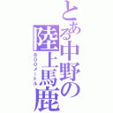 とある中野の陸上馬鹿（８００メートル）