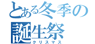 とある冬季の誕生祭（クリスマス）