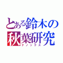 とある鈴木の秋葉研究（ナノックス）