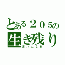 とある２０５の生き残り（宮ハエ２８）