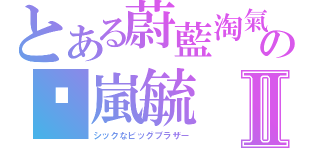 とある蔚藍淘氣の泽嵐毓Ⅱ（シックなビッグブラザー）