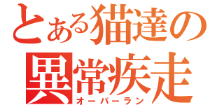 とある猫達の異常疾走（オーバーラン）