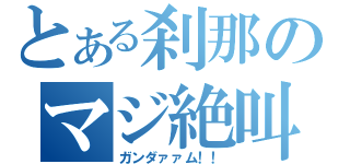 とある刹那のマジ絶叫（ガンダァァム！！）