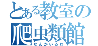 とある教室の爬虫類館（なんかいるわ）