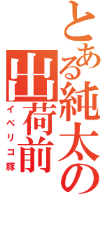 とある純太の出荷前（イベリコ豚）