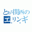 とある関西のエリンギプール（天然）