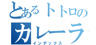 とあるトトロのカレーライス（インデックス）