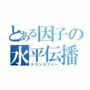 とある因子の水平伝播（トランスファー）