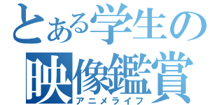 とある学生の映像鑑賞（アニメライフ）