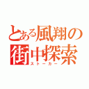 とある風翔の街中探索（ストーカー）