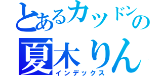 とあるカツドンの夏木りん（インデックス）