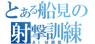 とある船見の射撃訓練（ＡＩＭ調整）