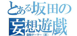 とある坂田の妄想遊戯（自称ゲーマー（笑））