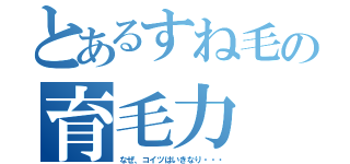 とあるすね毛の育毛力（なぜ、コイツはいきなり・・・）