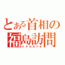 とある首相の福島訪問（リアルカバオ）