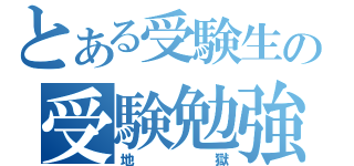 とある受験生の受験勉強（地獄）