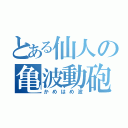 とある仙人の亀波動砲（かめはめ波）