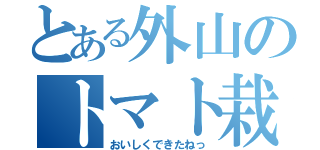 とある外山のトマト栽培（おいしくできたねっ）