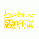 とある小此木の深藏不漏（捏捏讚）