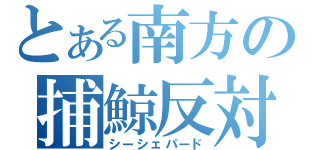 とある南方の捕鯨反対（シーシェパード）