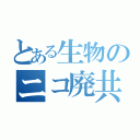 とある生物のニコ廃共（）