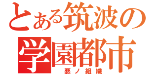 とある筑波の学園都市（　悪ノ組織）