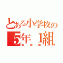 とある小学校の５年１組（皆仲間）