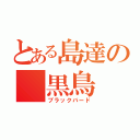 とある島達の 黒鳥（ブラックバード）