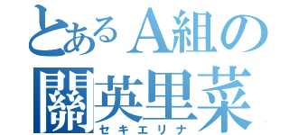 とあるＡ組の關英里菜（セキエリナ）