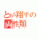 とある翔平の両性類（ネカマ）