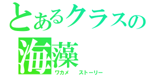 とあるクラスの海藻　　物語（ワカメ　　ストーリー）