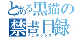 とある黒猫の禁書目録（インデックス）