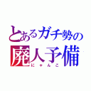 とあるガチ勢の廃人予備軍（にゃんこ）