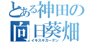 とある神田の向日葵畑（イキスギガーデン）