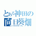 とある神田の向日葵畑（イキスギガーデン）