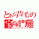 とある芦毛の宝塚門難（レイトアライブ）