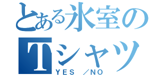 とある氷室のＴシャツ（ＹＥＳ ／ＮＯ）