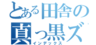 とある田舎の真っ黒ズーマー（インデックス）