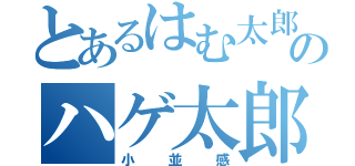 とあるはむ太郎のハゲ太郎（小並感）