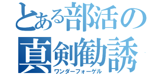 とある部活の真剣勧誘（ワンダーフォーゲル）