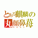 とある麒麟の丸顔鼻苺（マザコン）