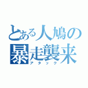 とある人鳩の暴走襲来（アタック）