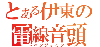 とある伊東の電線音頭（ベンジャミン）