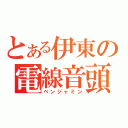 とある伊東の電線音頭（ベンジャミン）