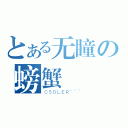 とある无瞳の螃蟹（ＣＳＯＬＥＲ~~~）