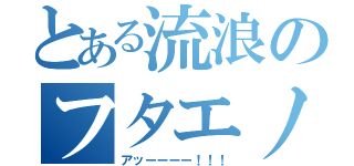 とある流浪のフタエノキワミ（アッーーーー！！！）