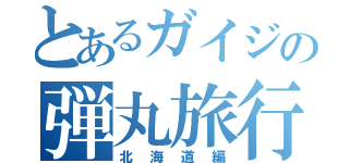 とあるガイジの弾丸旅行（北海道編）